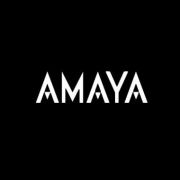 Thieler Law Corp Announces Investigation of Amaya Inc